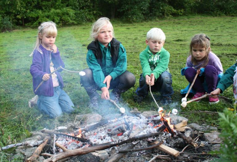 Fire børn sidder med skumfiduser på pinde og holder dem over gløderne på et bål. 